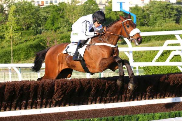 La photo de Celtic Warrior 