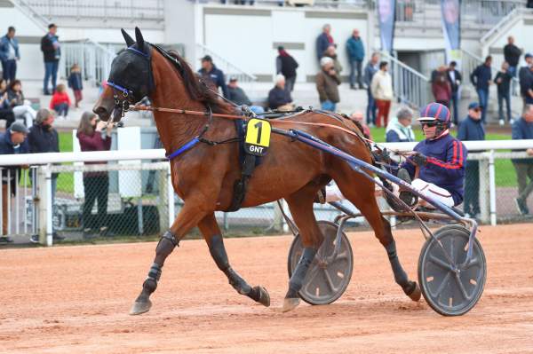 Photo de HOLD UP DU DIGEON cheval de TROT ATTELE