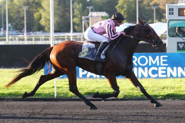 La photo de Gold Voice 