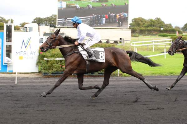 La photo de Zanza Frank arrivée pmu Prix du Conseil Régional des Pays de Loire à Meslay-du-Maine
