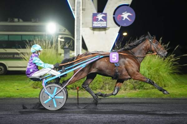 Photo de LEWIS RIVER cheval de TROT ATTELE