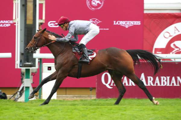 Photo de AL GHADEER cheval de PLAT