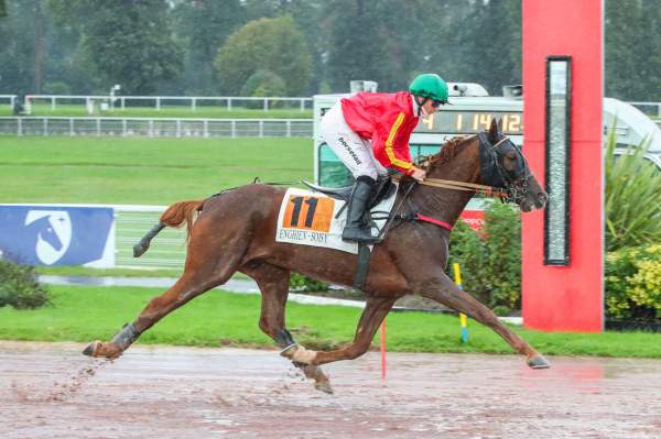 Photo de LOLO DU VELO cheval de TROT MONTE