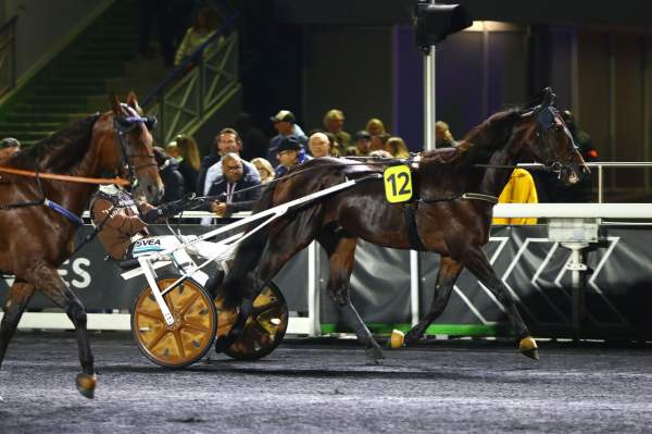 La photo de Francesco Zet 