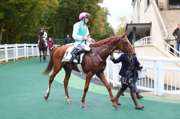 La photo de New Ground 