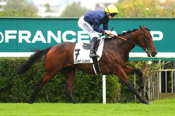 Photo de ALCANTOR cheval de PLAT