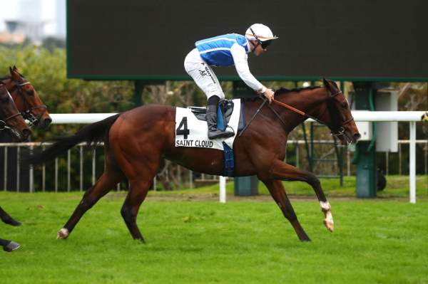 La photo de Double Major arrivée pmu Prix Royal-Oak (Gr.1) à Saint-Cloud