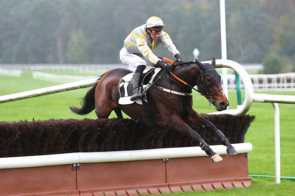 Photo de L'AZIZA DES PLACES cheval de HAIES