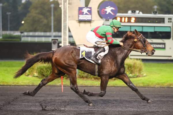 Photo de DAMISELA cheval de TROT MONTE