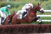 La photo de Hacker Du Berlais arrivée pmu Prix Kargal à Auteuil