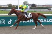 La photo de Tomakay 