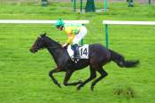 La photo de Pleaseman Arrivée Quinté+ PMU Prix du Bois Bourillon à Chantilly