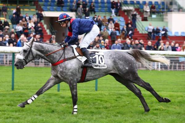 La photo de Le Philosophe arrivée pmu Grand Steeple-chase de Compiègne (Gr.II) à Compiègne