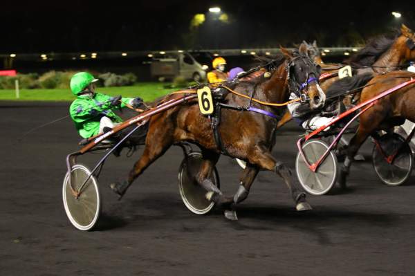 Photo de LETTY DE BEYLEV cheval de TROT ATTELE