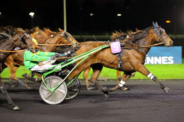 Photo de JAMES BOND cheval de TROT ATTELE