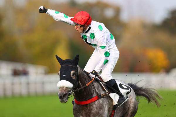 La photo de Kaadam Arrivée PMU Prix Maurice Gillois - Grand Steeple-Chase des 4 ans à Auteuil