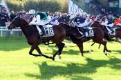 La photo de King Robbe Arrivée Quinté+ Pmu Prix Roland Fougedoire à Fontainebleau
