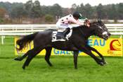La photo de Le Roi Leon arrivée pmu Prix Jour de Galop à Fontainebleau