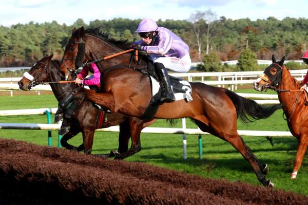 Photo de GENTLEMAN VALLEY cheval de HAIES