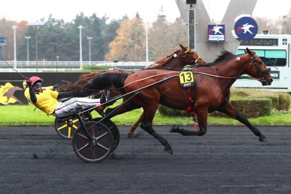Photo de IT'S A DOLLARMAKER cheval de TROT ATTELE