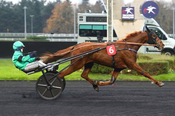 Photo de KROONER D'HERIPRE cheval de TROT ATTELE