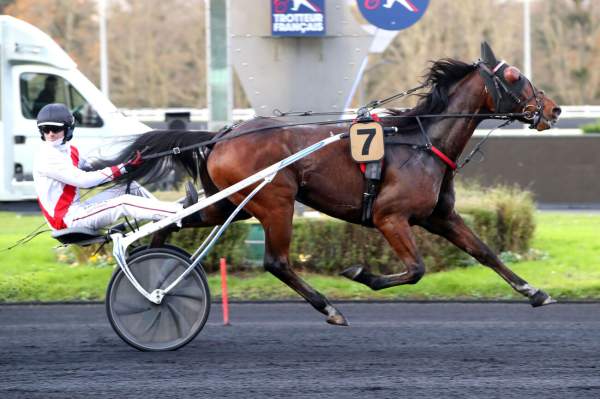 Photo de JIZOU D'ETANG cheval de TROT ATTELE