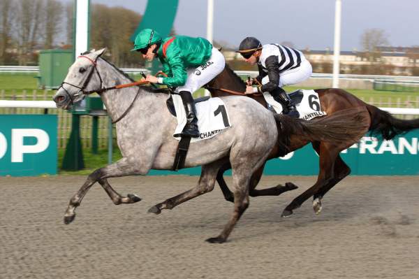 La photo de Cankoura arrivée pmu Prix du Rond Alicante à Chantilly