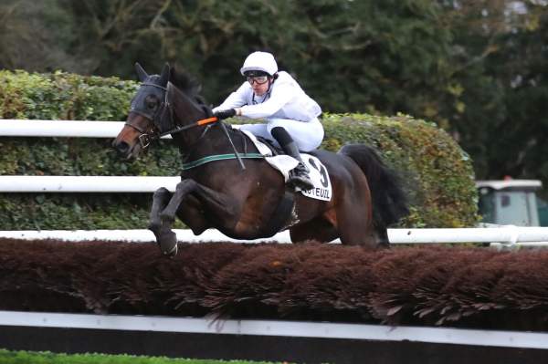 Photo de LIPRIKA D'ANJOU cheval de HAIES