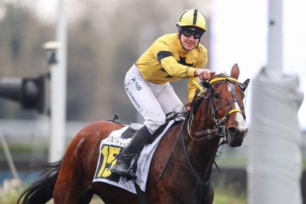 La photo de Lexie De Banville Arrivée PMU Prix de Vincennes à Vincennes