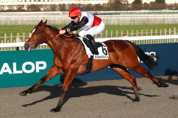 Photo de ROSAPENNA cheval de PLAT