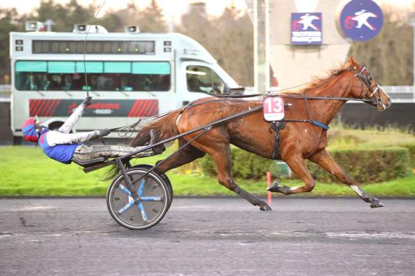 Photo de JUST LOVE YOU cheval de TROT ATTELE