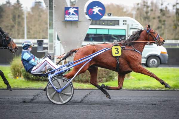 Photo de LOULOU DAB cheval de TROT ATTELE