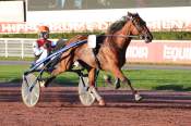 La photo de Loustic De Salomax 