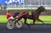 La photo de Loulou Des Oubeaux arrivée pmu Prix de Pontchateau à Vincennes