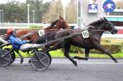 La photo de Liberte Du Goutier arrivée pmu Prix de Darvault à Vincennes