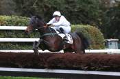 La photo de Liprika D'anjou arrivée pmu Prix Fifrelet (Lr) à Auteuil