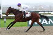 La photo de Tamyz arrivée pmu Prix de l'Hermeraie à Deauville