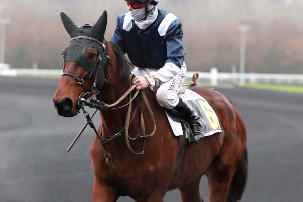 Photo de JACINTHE DU BOIRON cheval de TROT ATTELE