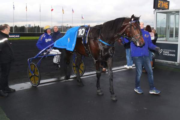 Photo de KEEP OUT cheval de TROT ATTELE