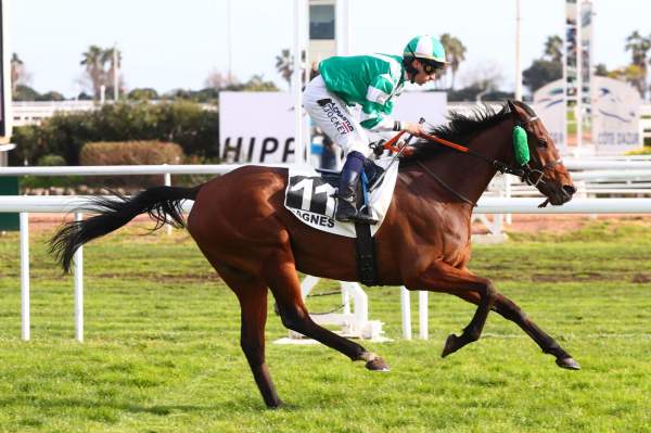 Photo de GOOD QUESTION cheval de PLAT