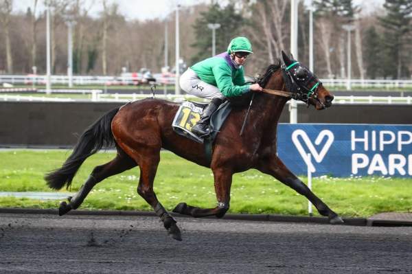 La photo de Kalimero Jasma 