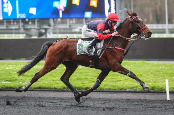 Photo de JAG MAHCATH cheval de TROT MONTE