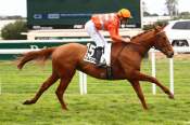 La photo de Splendino arrivée PMU Prix du Docteur Gazagnaire à Cagnes sur Mer