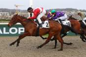 La photo de Lightning Bolt arrivée PMU Prix des Docks Vauban à Deauville 