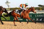 La photo de Linfasommer arrivée PMU Prix du Val Fleuri et des Vespins à Cagnes-sur-Mer