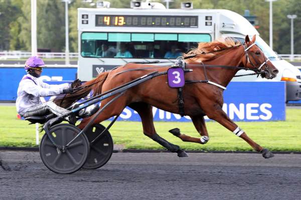 Photo de KELLE BEAUTE cheval de TROT ATTELE