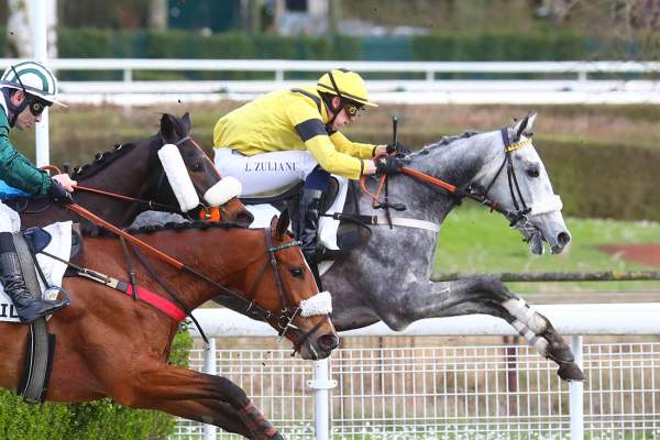Photo de KAP LORD cheval de STEEPLE CHASE