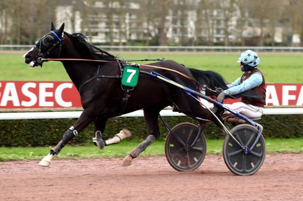 Photo de KASH QUICK cheval de TROT ATTELE