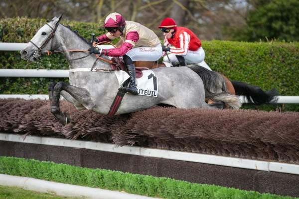 La photo de Kamaro D'huez Prix de l'Yonne à Auteuil