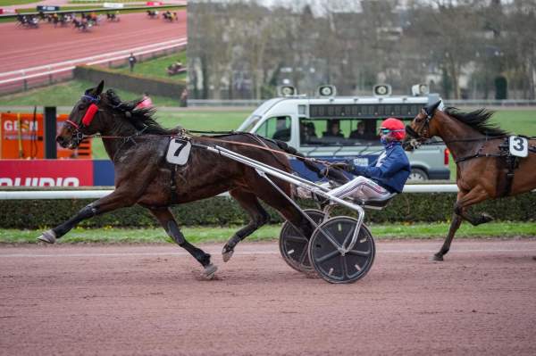 Photo de IMAGE DE FLAM cheval de TROT ATTELE